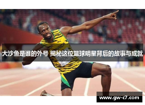 大沙鱼是谁的外号 揭秘这位篮球明星背后的故事与成就