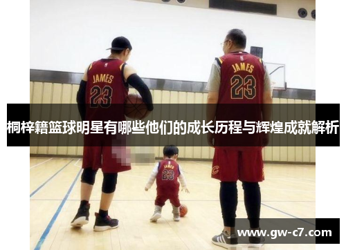 桐梓籍篮球明星有哪些他们的成长历程与辉煌成就解析